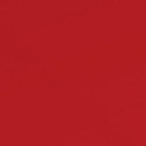 Meet your Posher, Abigail